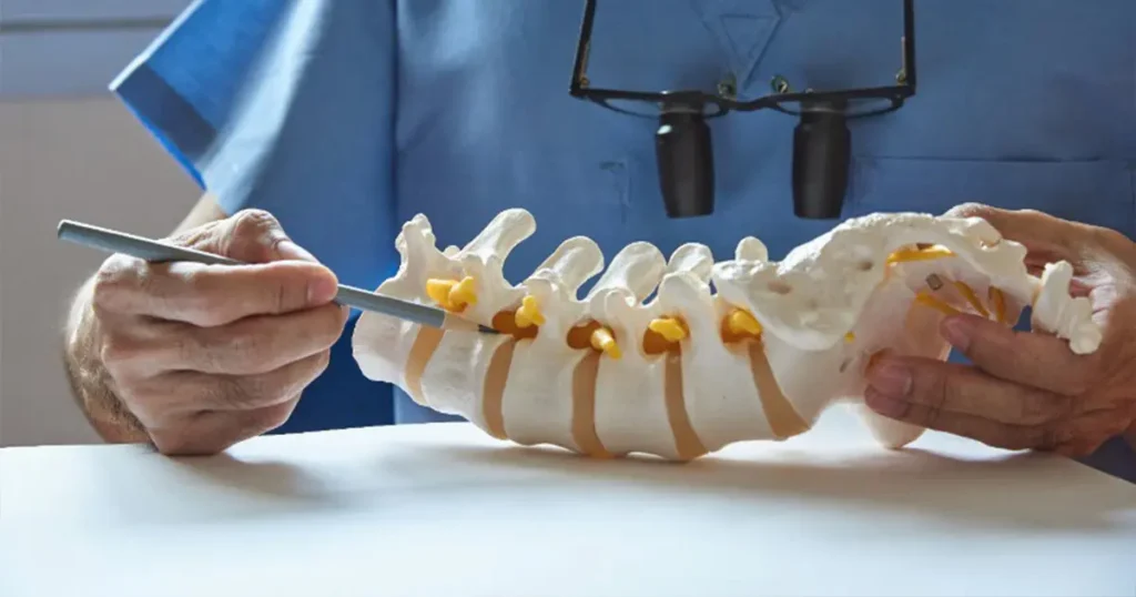 Visita neurochirurgica a domicilio in Lombardia: un neurochirurgo specializzato analizza la colonna vertebrale su un modello anatomico durante un consulto medico domestico.